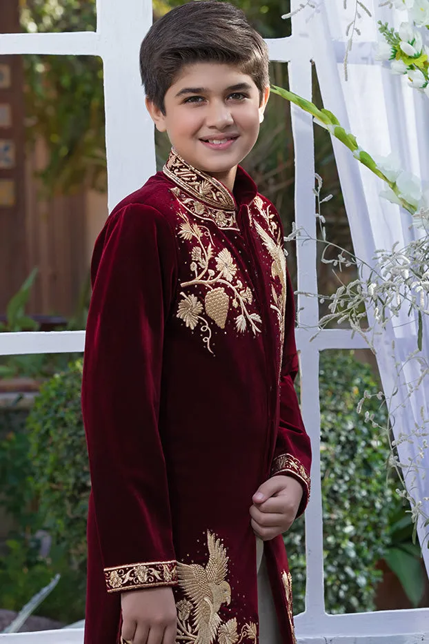 Embroidered Velvet Sherwani Suit | WC1718 | B509