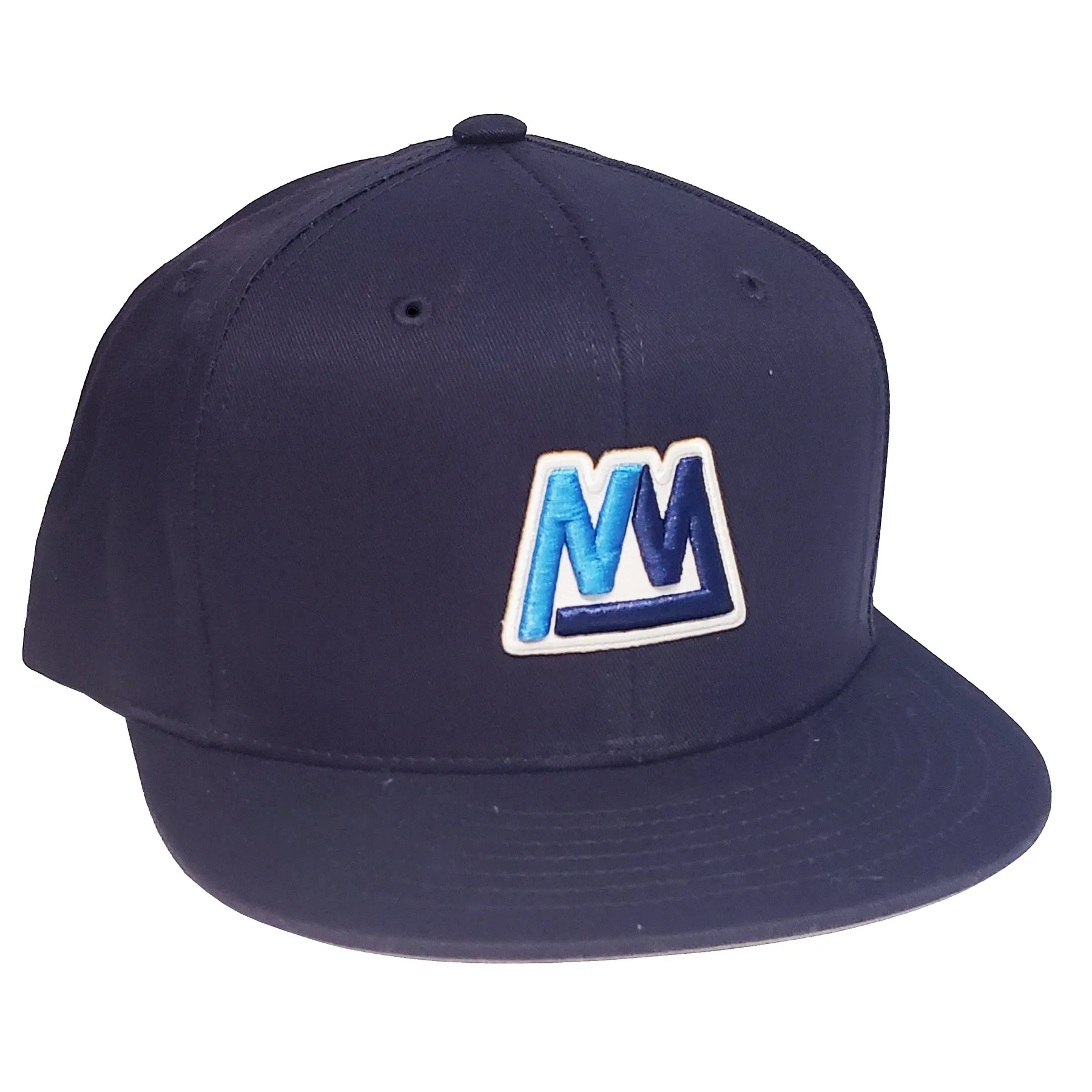 Mass Transit Snapback Hat